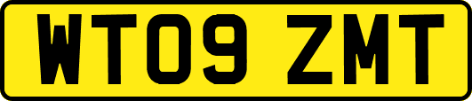 WT09ZMT