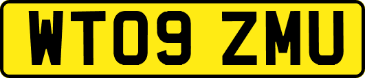 WT09ZMU