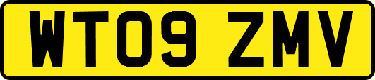 WT09ZMV