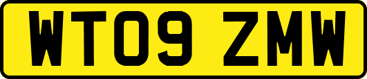 WT09ZMW