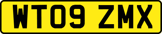 WT09ZMX