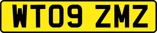 WT09ZMZ