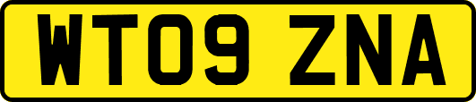 WT09ZNA