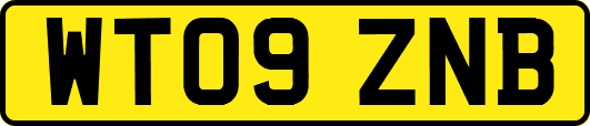 WT09ZNB
