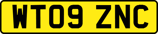 WT09ZNC