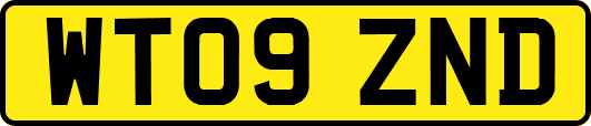 WT09ZND