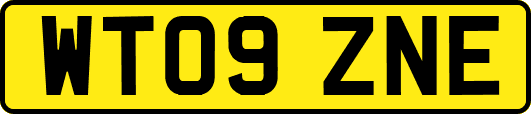 WT09ZNE