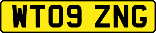 WT09ZNG