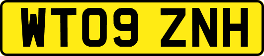 WT09ZNH