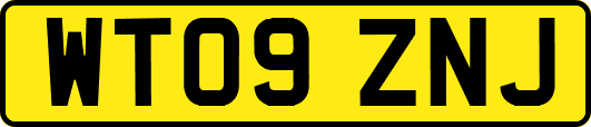 WT09ZNJ