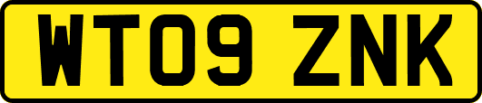 WT09ZNK