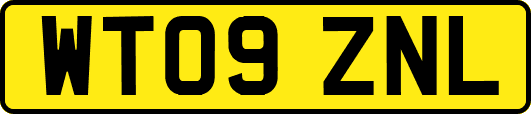 WT09ZNL