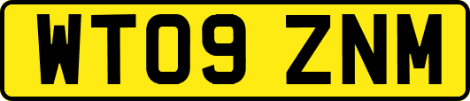 WT09ZNM