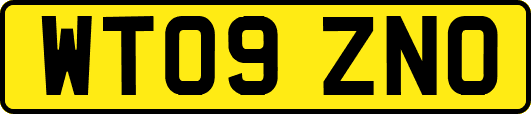 WT09ZNO