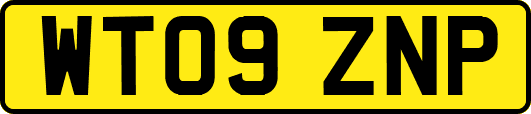 WT09ZNP