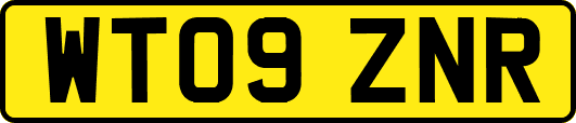 WT09ZNR