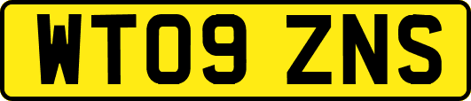 WT09ZNS