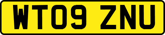 WT09ZNU