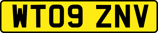 WT09ZNV