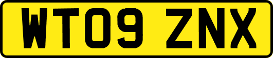 WT09ZNX