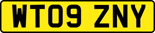 WT09ZNY