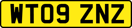 WT09ZNZ