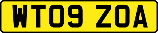 WT09ZOA