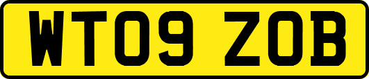 WT09ZOB