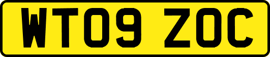 WT09ZOC