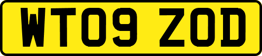 WT09ZOD