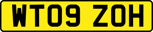 WT09ZOH
