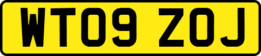 WT09ZOJ