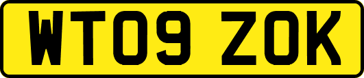 WT09ZOK