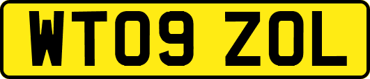 WT09ZOL