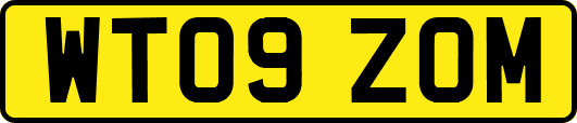 WT09ZOM
