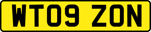 WT09ZON