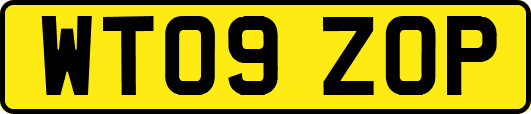 WT09ZOP