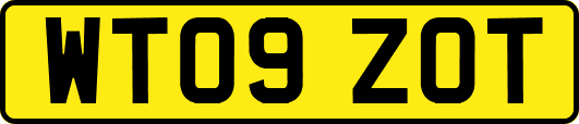 WT09ZOT