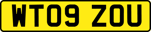 WT09ZOU
