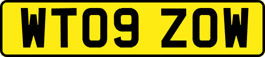WT09ZOW