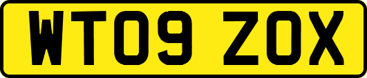 WT09ZOX