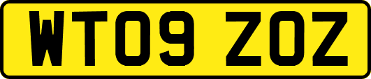 WT09ZOZ