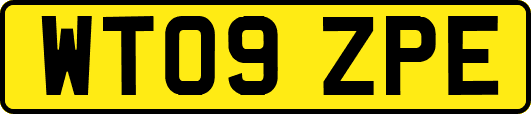 WT09ZPE