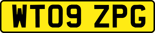 WT09ZPG
