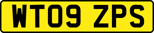 WT09ZPS