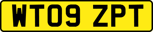WT09ZPT