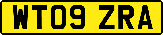 WT09ZRA