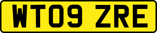 WT09ZRE