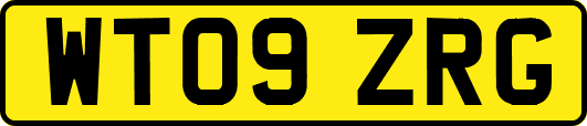 WT09ZRG