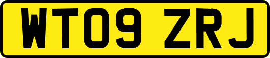 WT09ZRJ